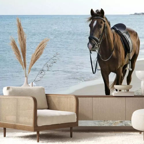 Fototapete Gesatteltes pferd am strand