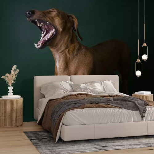 Sticker Hunde Dackel mit weit geöffnetem Maul