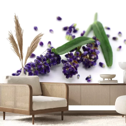 Sticker Lavendel und gestreute Blütenblätter