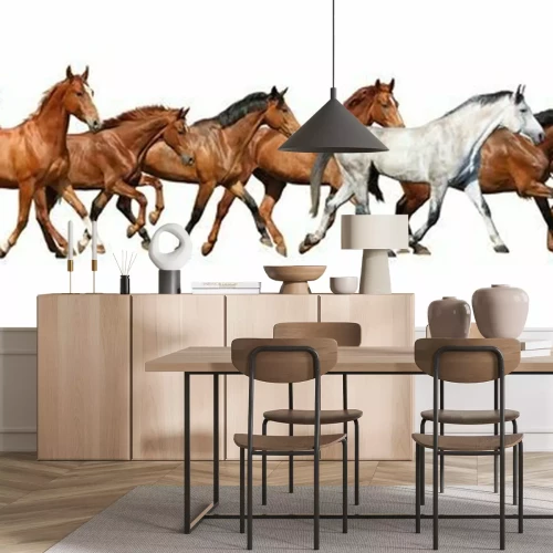 Fototapete Pferdeherde auf weißem hintergrund