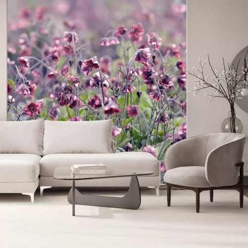 Sticker Getrocknete Blumen auf einer Wiese