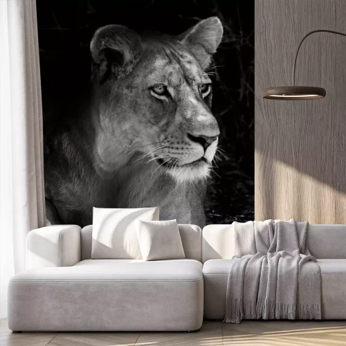 Fototapete Schwarz-weiße Löwin aus Afrika