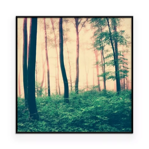 Poster Eine sepiafarbene Waldszene mit grünem Unterholz und Baumkronen