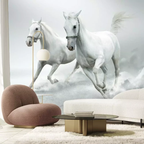 Fototapete Galoppierende pferde auf weißem hintergrund