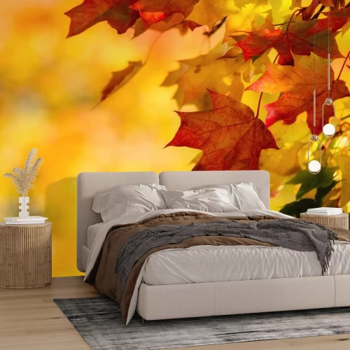 Sticker Herbstliche Blätter