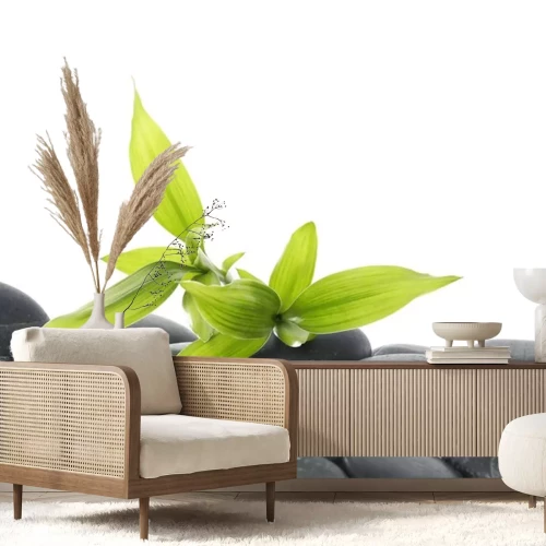 Sticker Grüner Bambus mit Blättern auf Kieselsteinen