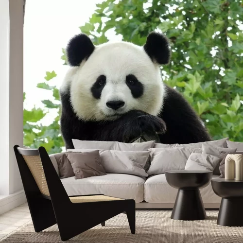 Sticker Panda Géant 3