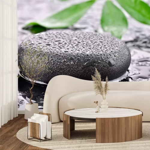 Sticker Kamień bazaltowy z w tle liściem