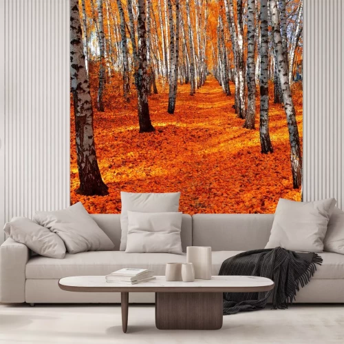 Fototapete Birken und orangefarbene Blätter