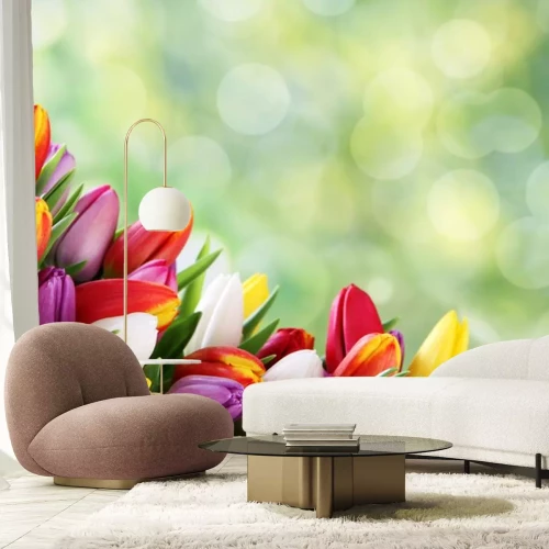 Sticker Verschiedenfarbige Tulpen auf grünem Hintergrund