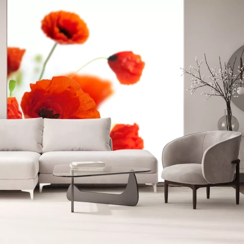 Sticker Mohnblumen in Nahaufnahme