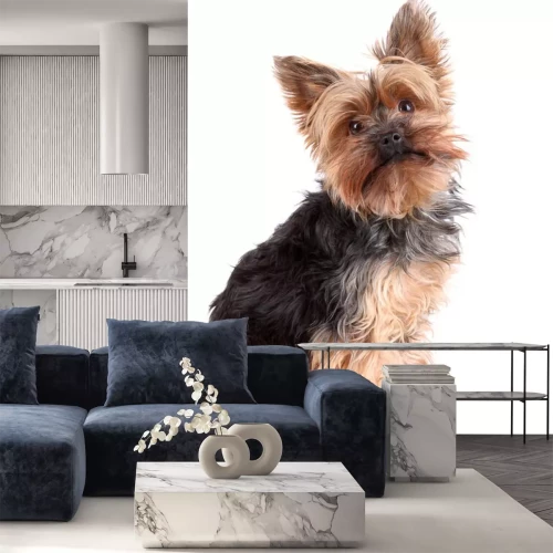 Sticker Hunde mehrfarbiger Yorkshire mit dunkler Nase und Augen