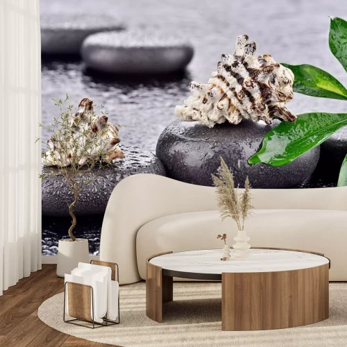 Sticker Muscheln auf Basaltsteinen