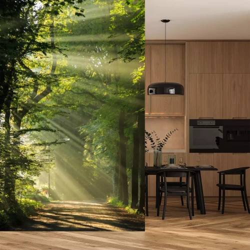 Sticker Sonnenstrahlen scheint durch die Bäume in einem Wald.