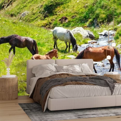 Fototapete Wasser trinkende pferde