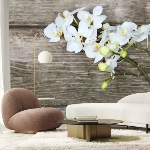 Fototapete Weiße Orchidee auf Holz