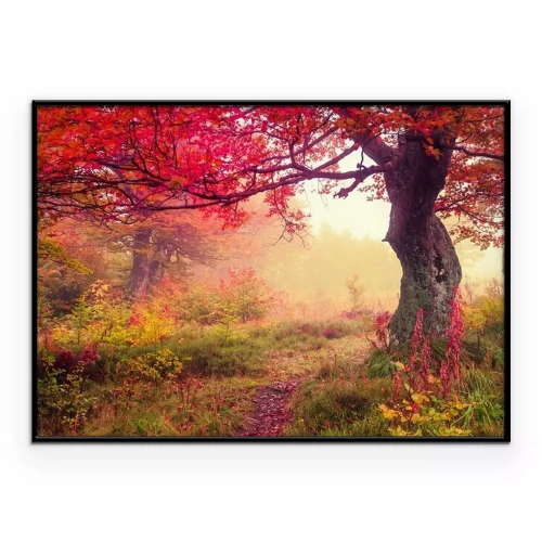 Poster Herbstwald im Nebel mit einem gebogenen Baum