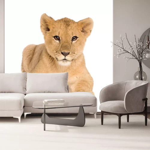 Sticker Tiere Löwenjunges schaut voraus