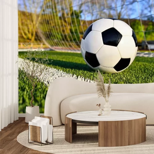 Fototapete Fußball hinter der Torlinie