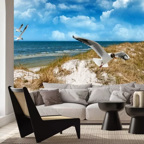 Fototapete Möwen Dünen und Meer