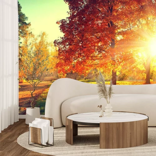 Fototapete Bäume im Park im Herbst