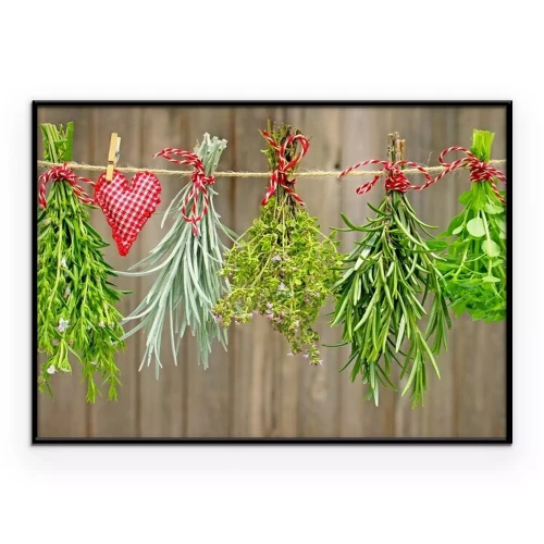 Poster Bündel aromatischer Kräuter hängen zum Trocknen an einer Schnur.