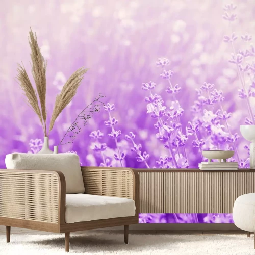 Sticker Vintage Lavendel auf lila Foto