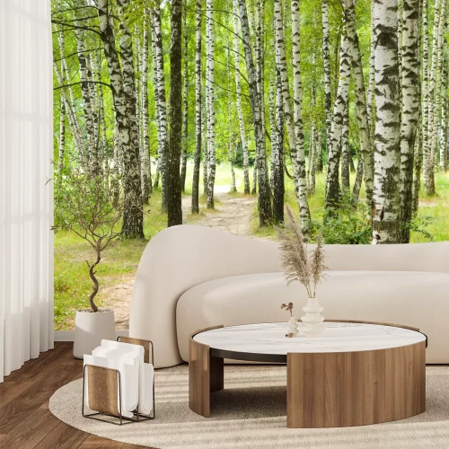 Fototapete Pfade im Birkenwald