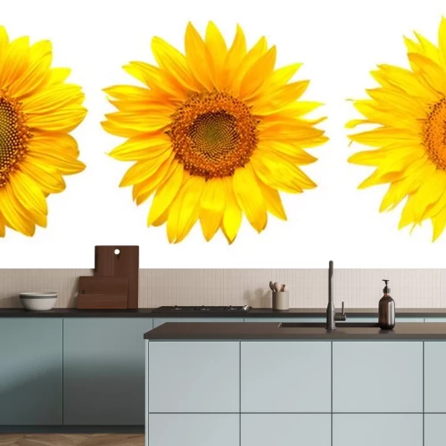 Sticker Drei Sonnenblumen nebeneinander