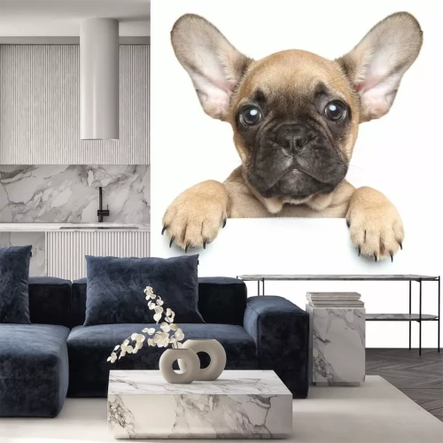 Sticker Puppy over a white banner