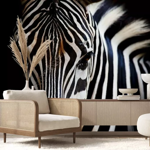 Fototapete Zebraauge auf dunklem Hintergrund