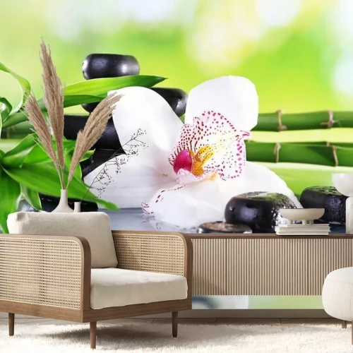 Fototapete Orchidee 3D und Bambuszweige