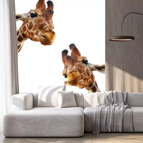 Sticker 3D Giraffen aus nächster Nähe