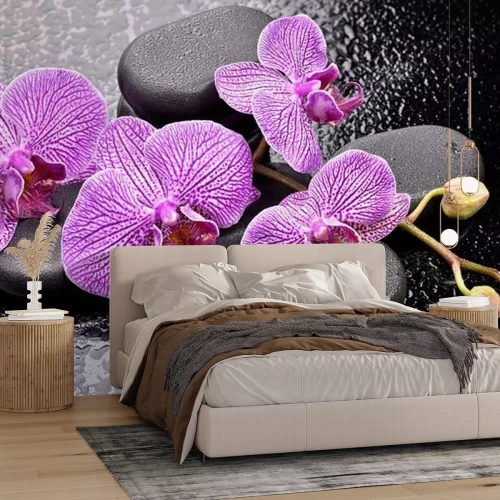 Fototapete Storczyki na kamieniach bazaltowych