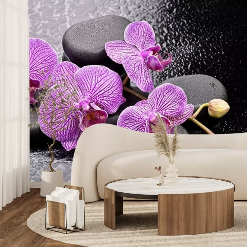 Sticker Storczyki na kamieniach bazaltowych