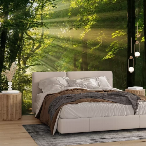 Fototapete Sonniger Morgen in einer grünen Waldlandschaft