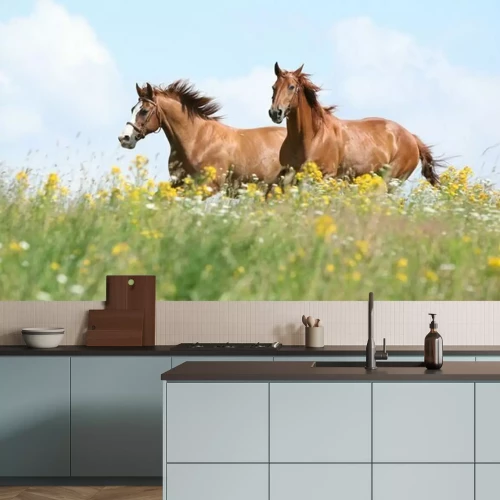 Fototapete Schwarze pferde in blumen