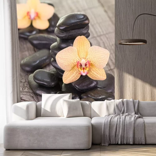 Sticker Yellow Moth Orchideen und schwarzen Steinen auf verwitterten Deck