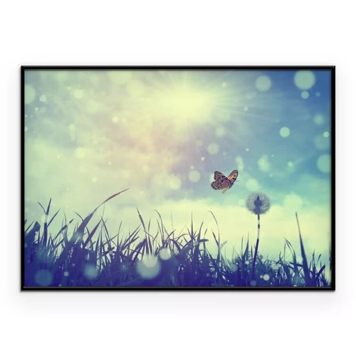 Poster Schmetterling und Löwenzahn