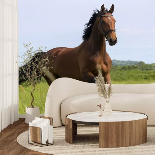 Sticker Reitpferd mit schwarzer Mähne und Schwanz auf einer Wiese