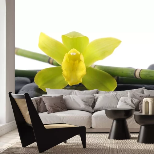 Sticker Makro des grünen Orchidee mit Bambushain auf Kieselsteinen