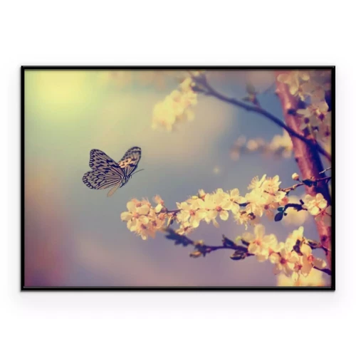 Poster Schmetterling und Kirschblüten