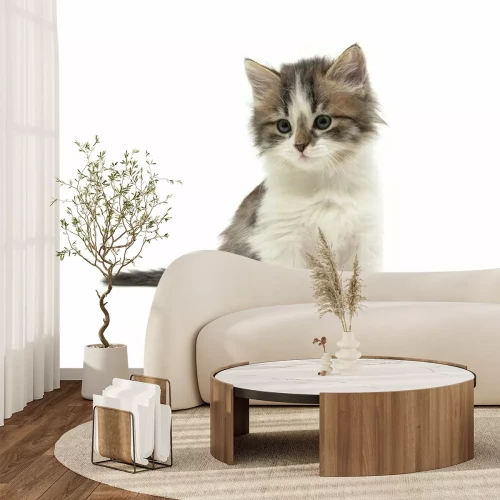 Sticker Katzen mehrfarbige Katze mit zwei weißen Pfoten