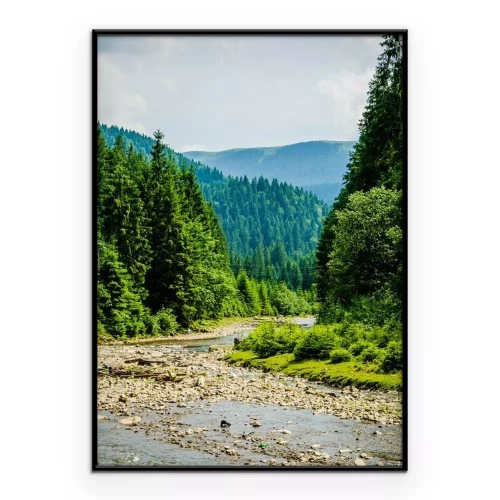 Poster Ein Bach, der durch einen dichten Nadelwald fließt