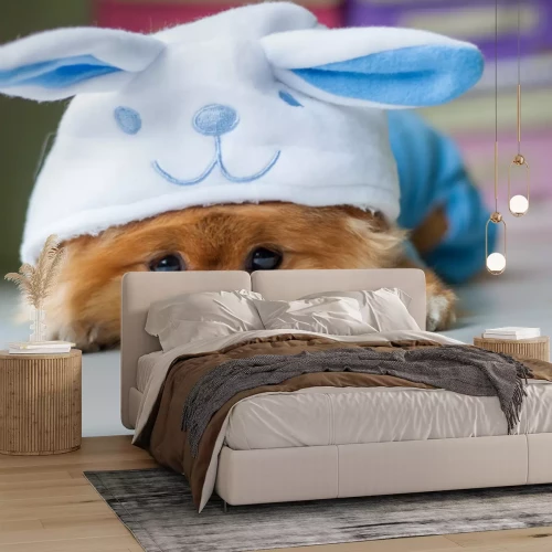 Sticker Pfoten eines auf dem Boden liegenden Hundes in einer Decke