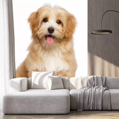 Sticker Ein Foto von einem lächelnden Welpen