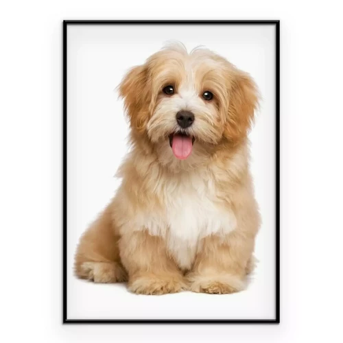 Poster Ein Foto von einem lächelnden Welpen