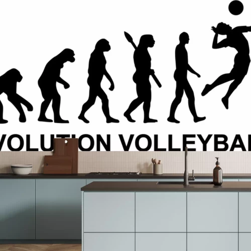 Sticker Volleyball Entwicklung