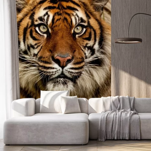 Sticker Tiger Porträt