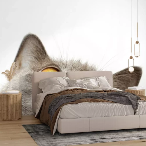 Sticker Rassekatze Katzenporträt Mund und Augen